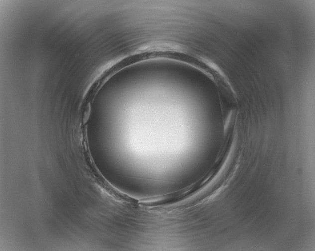 X0000054440973200508121840