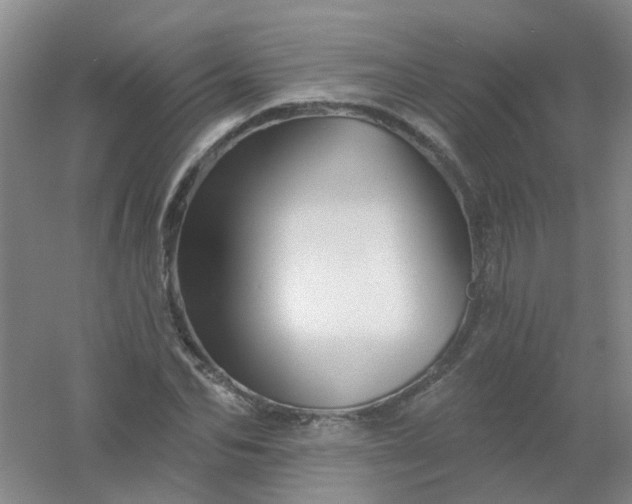 X0000054440974200508121840