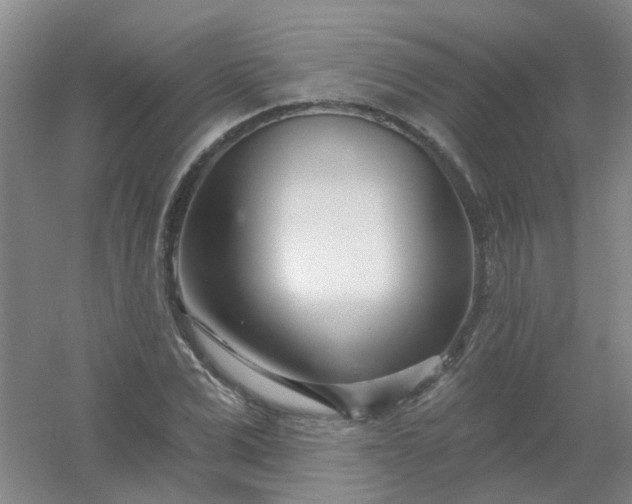 X0000054440975200508121840