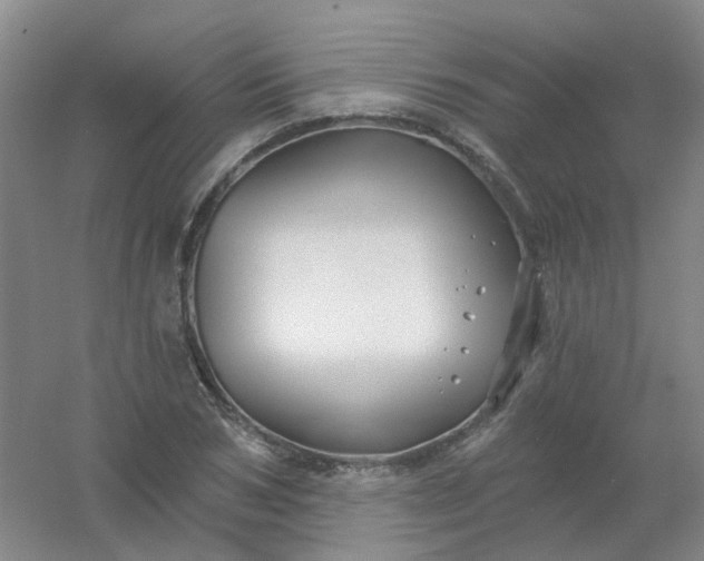 X0000054440978200508121840