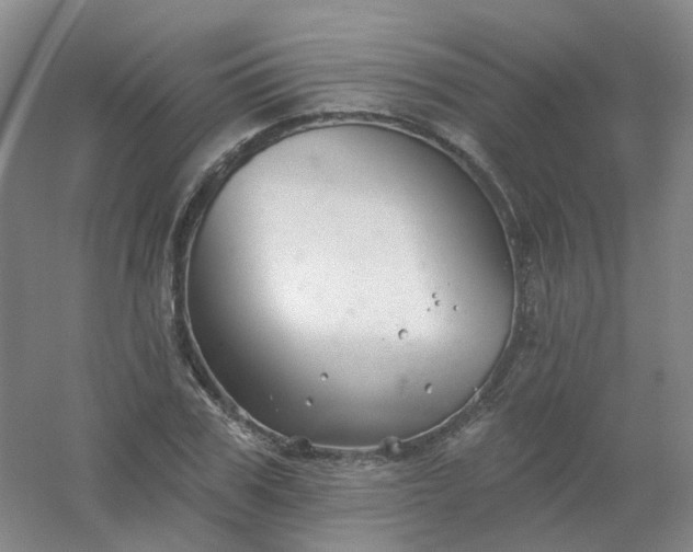 X0000054440979200508121840