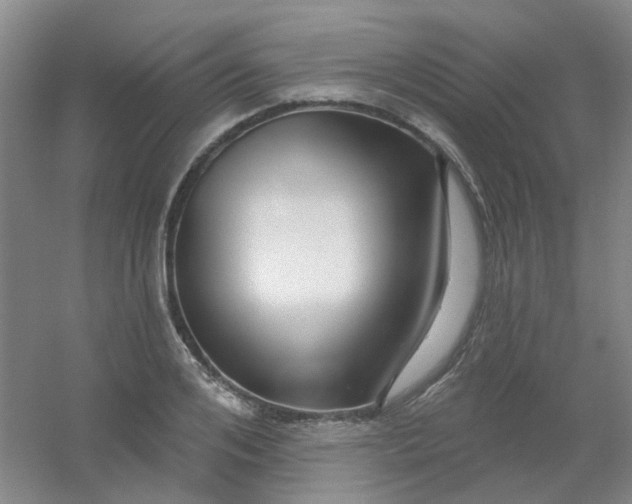 X0000054440984200508121840