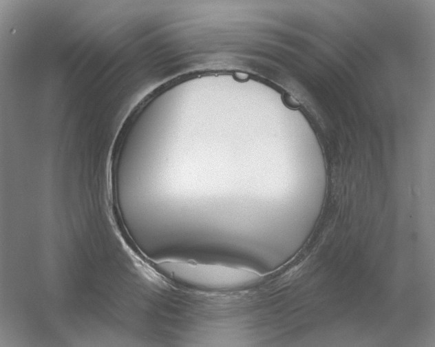 X0000054440988200508121840