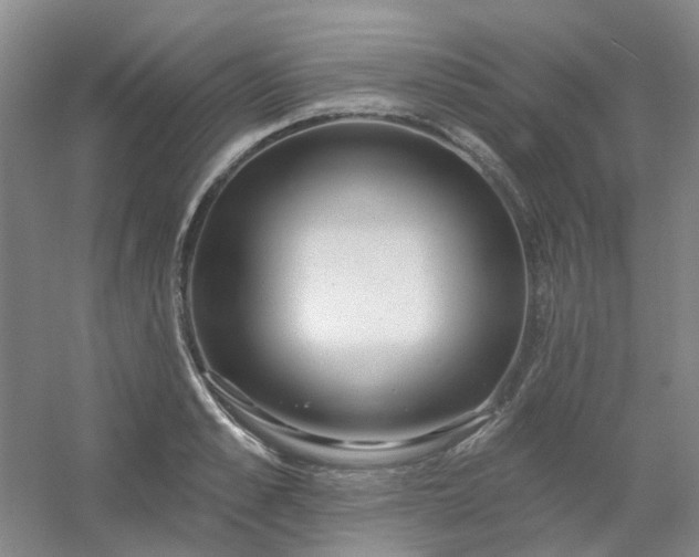 X0000054440989200508121840