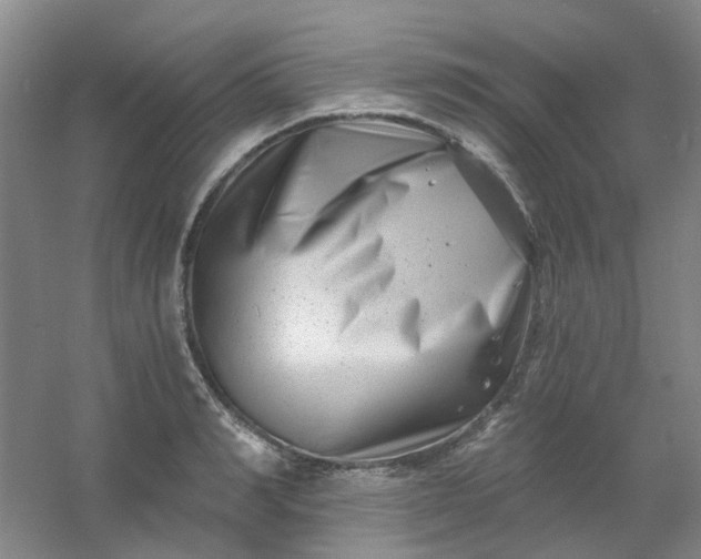 X0000054440990200508121840