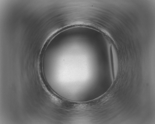 X0000054440991200508121840