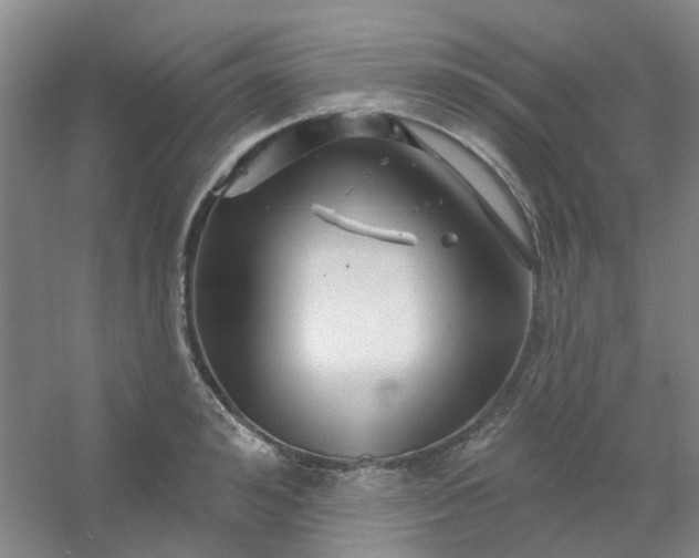 X0000054440992200508121840