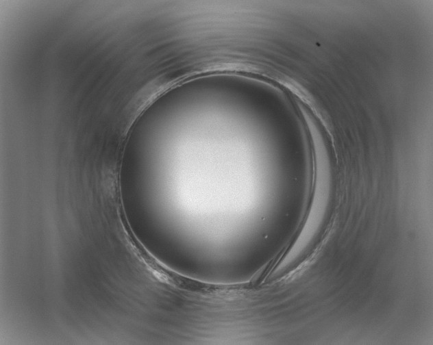 X0000054440993200508121840