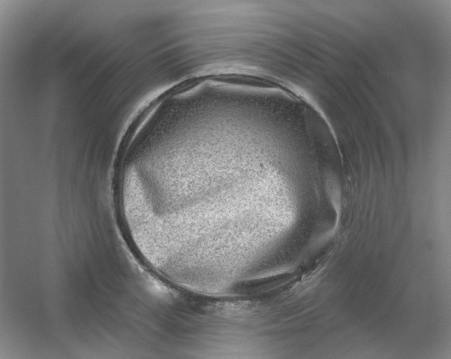 X0000054440995200508121840