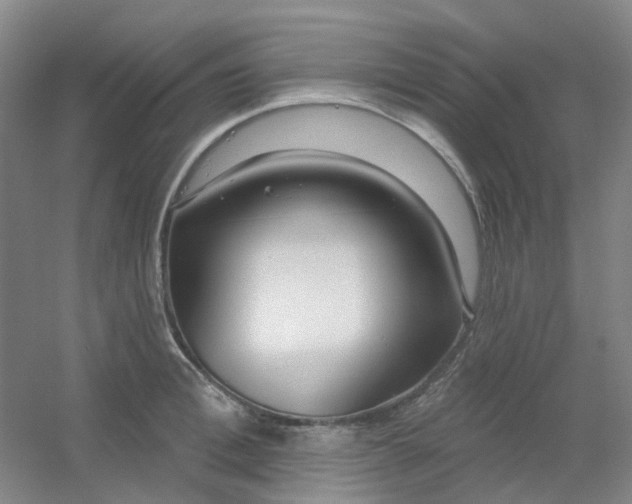 X0000054440996200508121840