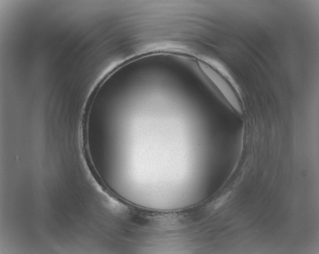 X0000054440999200508121840