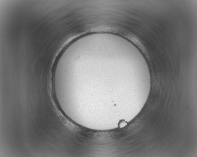 X0000054441000200508121840