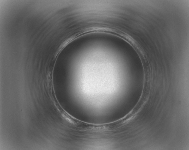 X0000054441001200508121840