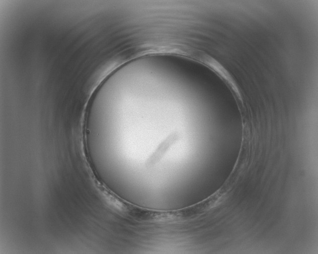 X0000054441002200508121840