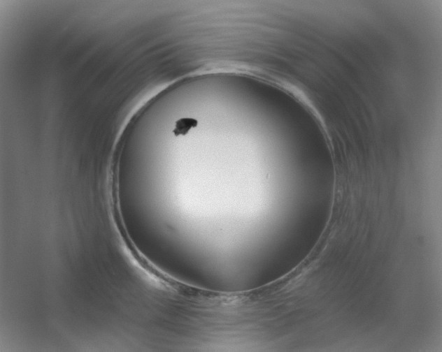 X0000054441003200508121840