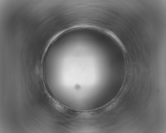 X0000054441004200508121840