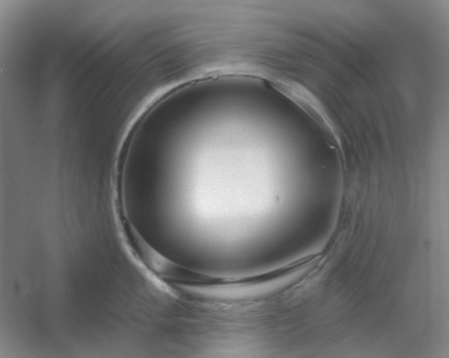 X0000054441005200508121840