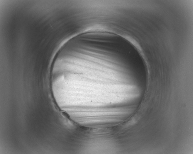 X0000054441008200508121840