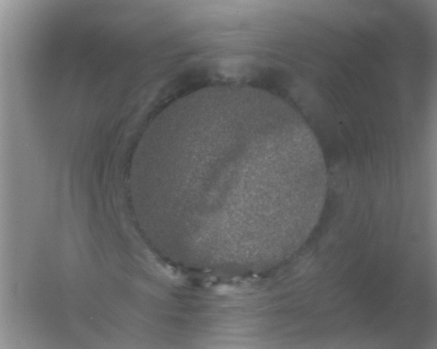 X0000054441009200508121839