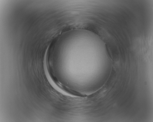 X0000054441010200508121839