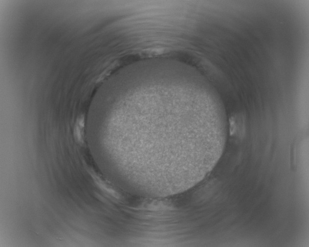 X0000054441011200508121839