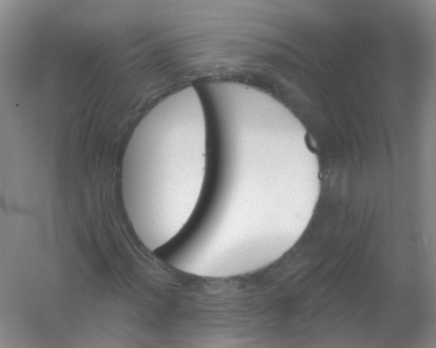 X0000054441012200508121839