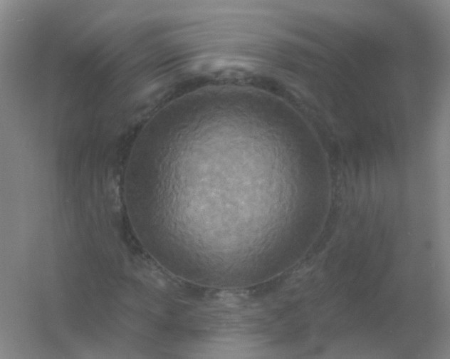 X0000054441013200508121839