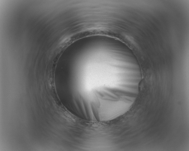 X0000054441015200508121839