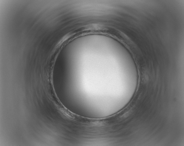 X0000054441017200508121839