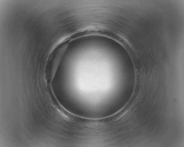 X0000054441018200508121839