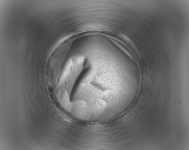 X0000054441019200508121839