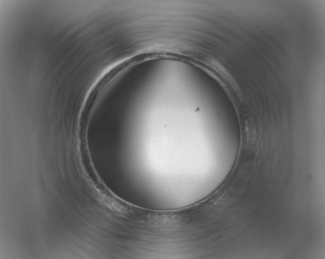 X0000054441020200508121839