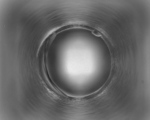 X0000054441022200508121839