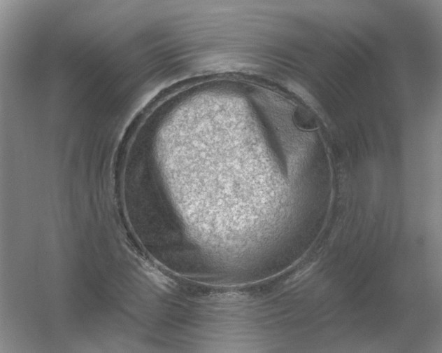 X0000054441023200508121839