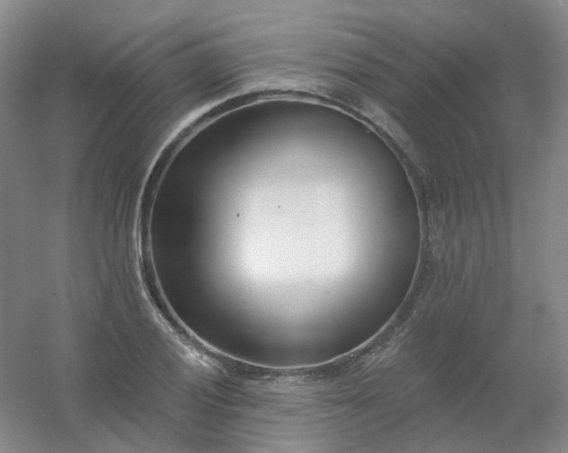 X0000054441028200508121839