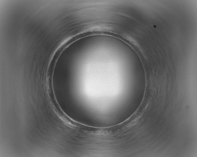 X0000054441029200508121839