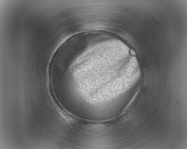 X0000054441031200508121839