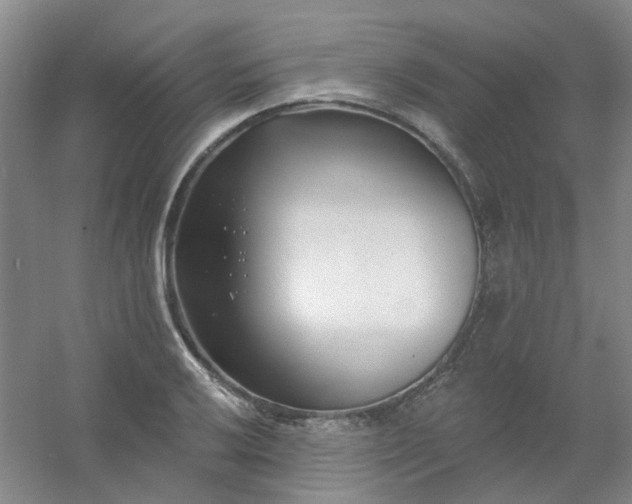 X0000054441032200508121839