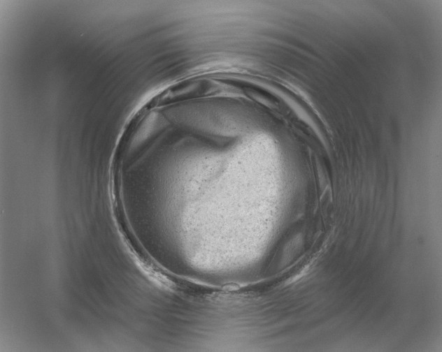 X0000054441034200508121839