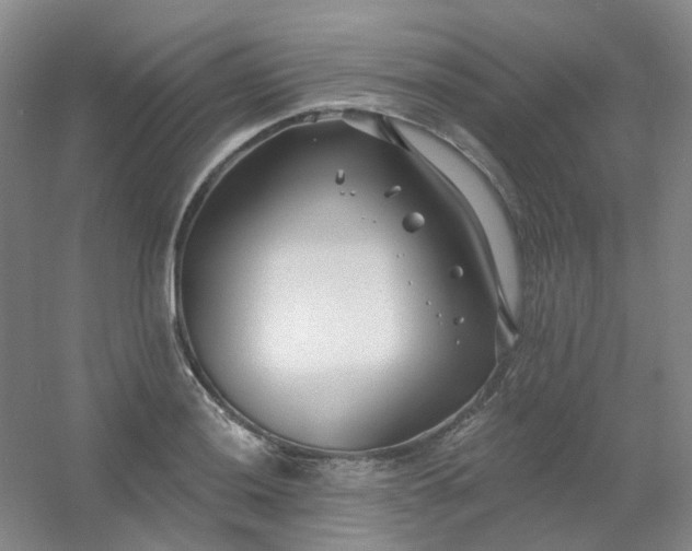 X0000054441036200508121839