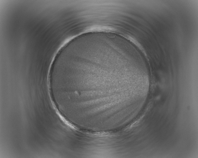 X0000054441037200508121839