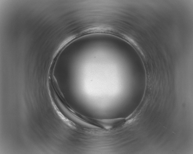 X0000054441042200508121839