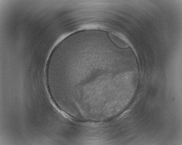 X0000054441045200508121839