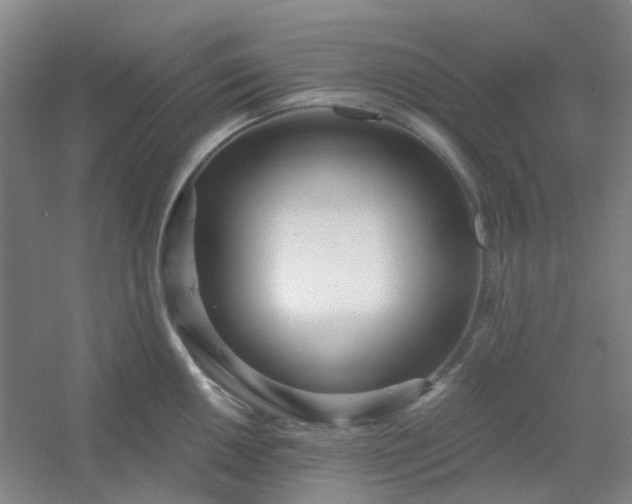 X0000054441050200508121839