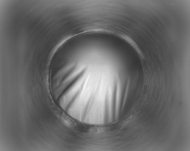 X0000054441051200508121839