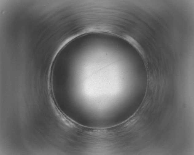 X0000054441052200508121839