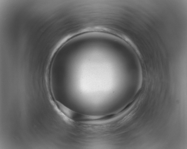 X0000054441054200508121839