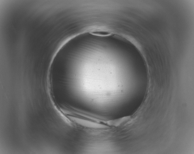 X0000054441056200508121840