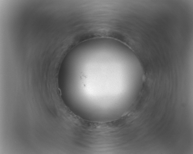 X0000054441057200508121839