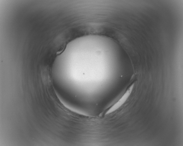 X0000054441058200508121839